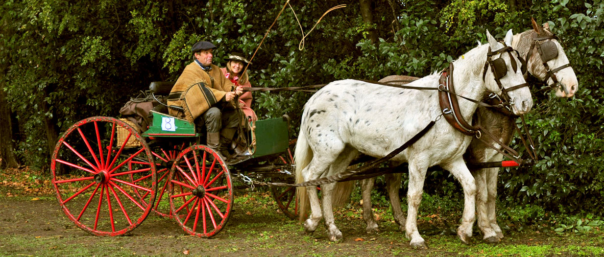 Family on Horse Pulled Cart in Cordoba City, Argentina Editorial Stock  Photo - Image of neighborhood, family: 192831243